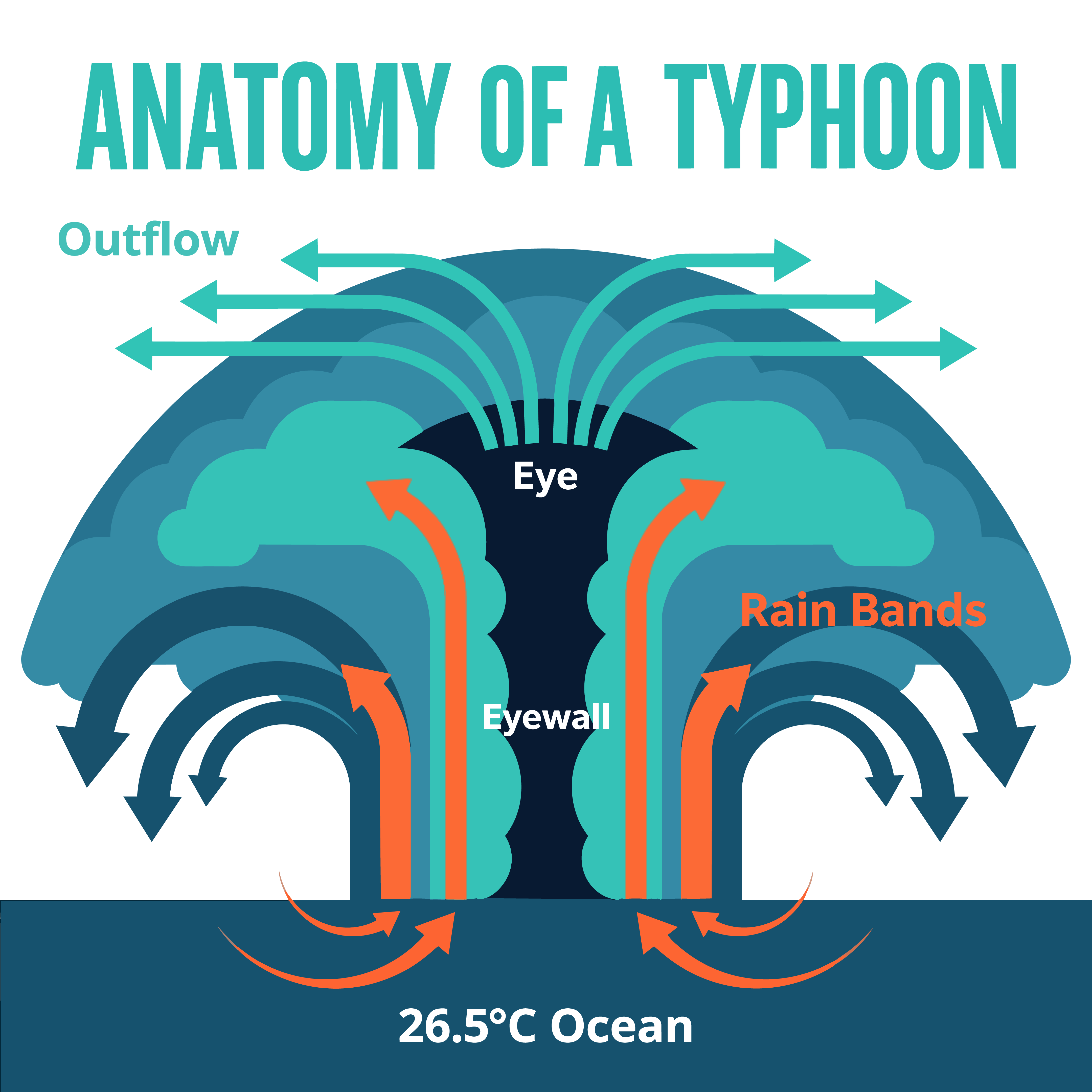 Slide 8 — Anatomy of a typhoon